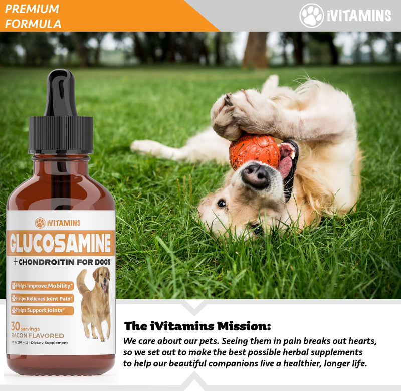 Glucosamine for Dogs - Dog Glucosamine - Supports Healthy Hips, Joints, Mobility & Much More - Dog Joint Supplement - Joint Supplement for Dogs - 1 fl oz - Bacon Flavor