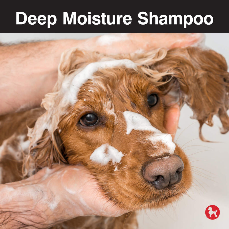 CHI for Dogs Deep Moisture Shampoo for Dogs | Best Moisturizing Dog Shampoo for Dogs With Dry Skin | Sulfate And Paraben Free, pH Balanced for Dogs, Made in the USA - PawsPlanet Australia