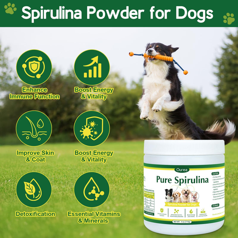 Organic Spirulina Powder for Dogs – Natural Superfood Supplement for Skin, Coat & Immune Health – 100% Pure Green Algae, No Fillers, No Additives, Boosts Energy & Vitality