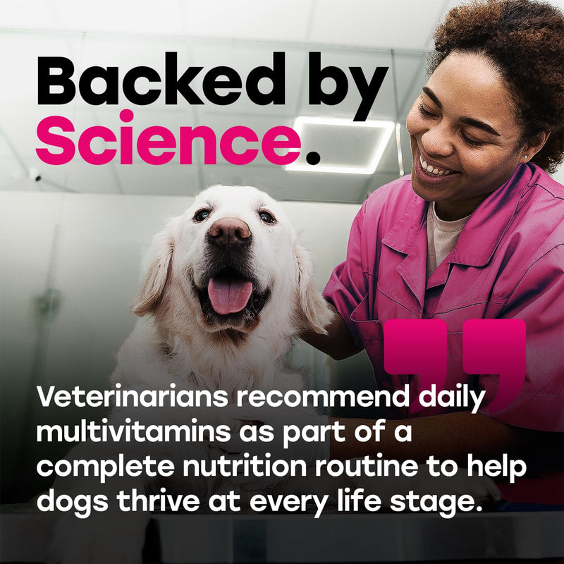 24-in-1 Dog Multivitamin Chews – Dog Vitamins and Supplements with Glucosamine, Chondroitin, Probiotics, Salmon Oil, Biotin – Daily Mobility, Digestion, Skin and Coat Support, Beef Flavor Multivitamin - Beef 1 Pack