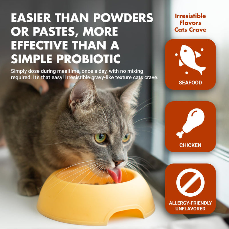 LIQUID-VET Cat Pre & Postbiotic Supplement Advanced Digestive Support for Cats with Premium Gravy Formula for Optimal Gut Health and Wellbeing 8 oz (AllergyFriendly Unflavored) Professional Unflavored