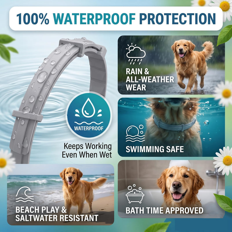 Flea and Tick Collar for Dogs 2 Pack - 12 Month Natural Flea and Tick Prevention for Dogs, Waterproof Dog Flea & Tick Control with Continuous Release, Adjustable Large Dog Collar