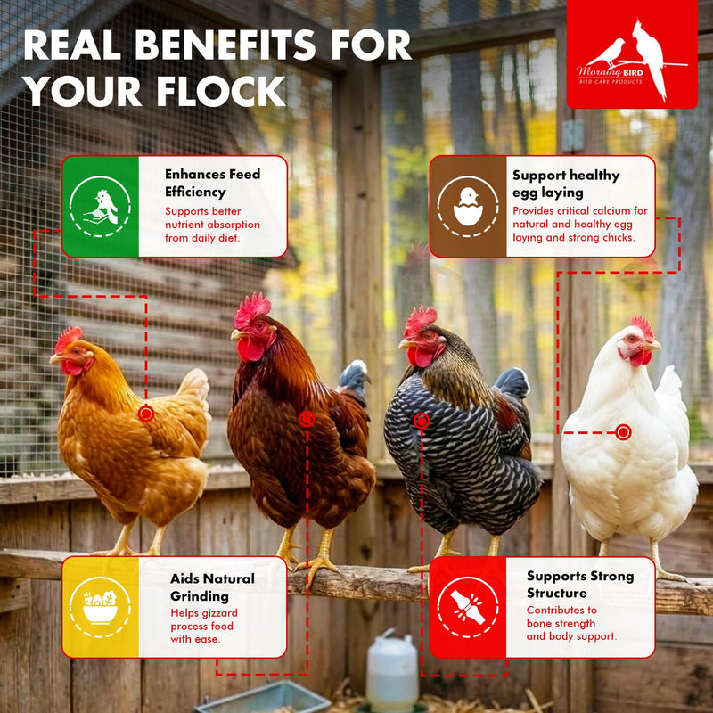 Morning Bird Poultry Grit for Chicken 1.5 lb, Mineral-Rich Chicken Grit Formula for Digestion & Calcium Support 1.5 Pound (Pack of 1)