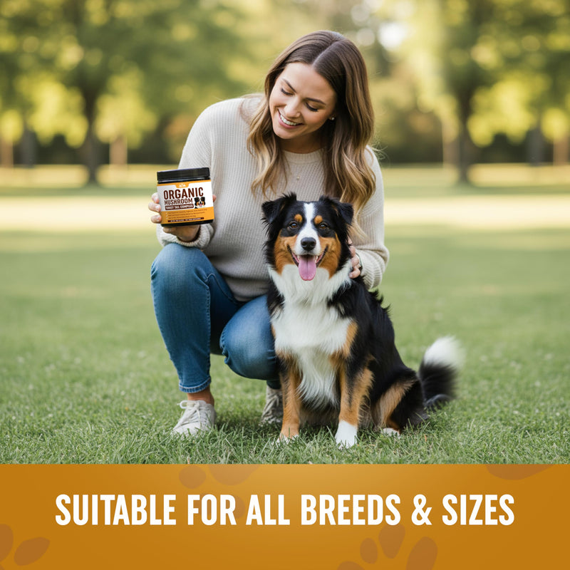 Turkey Tail Mushroom for Dogs Supplement Powder (90g) Organic Mushroom Complex with Lion's Mane for Dogs - Immune Support, Brain Health and Digestion - Third Party Tested, Non-GMO and Made in USA