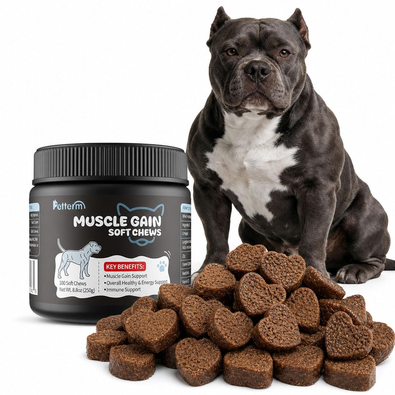High Calorie Dog Muscle Builder Chews for Underweight Breeds, 100 Ct | For skinny and active dogs, stops bowl refusal, 800mg whey protein per serving, garbanzo flour for stable digestion