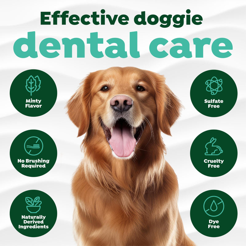 TropiClean Fresh Breath Dog Toothpaste for Teeth Cleaning, Breath Freshener, Easy to Use Plaque & Tartar Remover Gel, No Toothbrush Needed, 4oz. Original 4 Fl Oz (Pack of 1) - PawsPlanet Australia