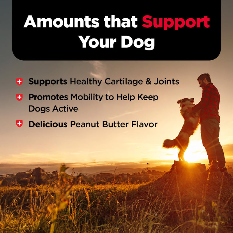Nutri-Vet Hip & Joint Biscuits for Dogs, Tasty Glucosamine Treat, Puppy Supplements, Dog Joint Supplement, Small Sized Biscuit with 200mg Glucosamine, Puppy Essentials, Peanut Butter Flavor, 16 oz 16 Ounce (Pack of 1)