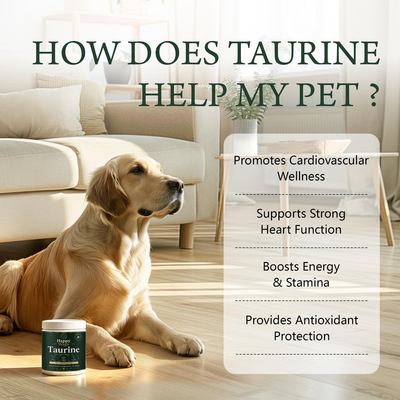 Happy Wags Taurine Powder for Dogs,Pure Amino Acid Supplement, Heart Vision Immune Aging Support, Tasteless Food Topper,Daily Scoop, All Breeds Ages,2.11 Oz (1pc) 1pc