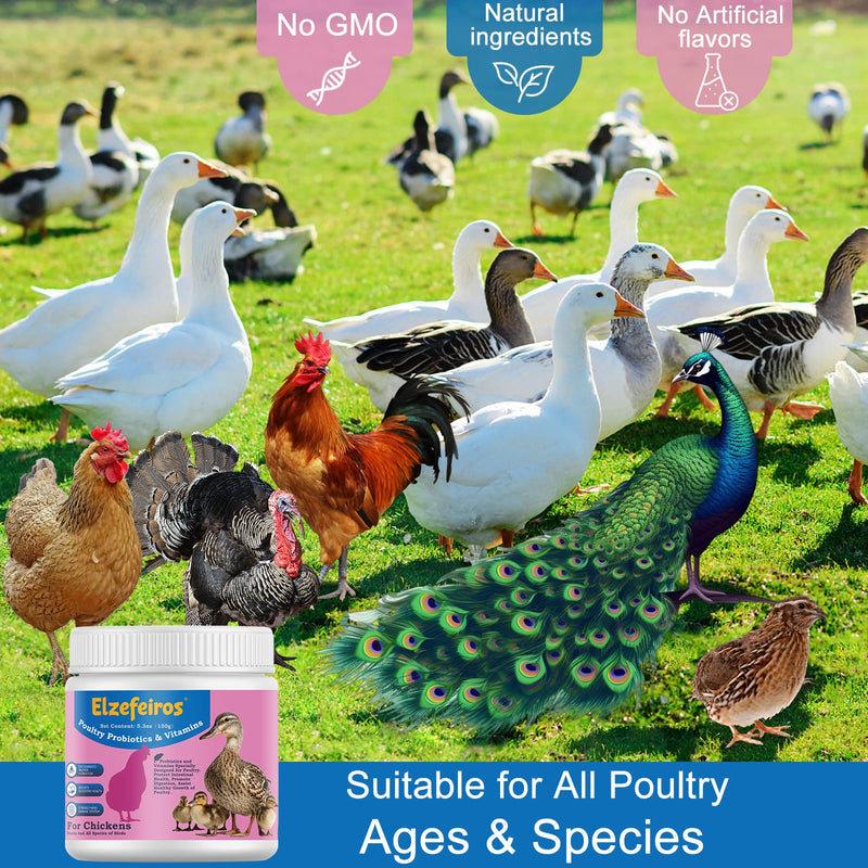 Chicken Probiotic & Vitamin Supplement for Immune Support & Egg Production,Digestive Aid and Hydration Support,Poultry Supplement for Chickens and Ducks and All Ages of Birds(5.3oz) 5.3OZ