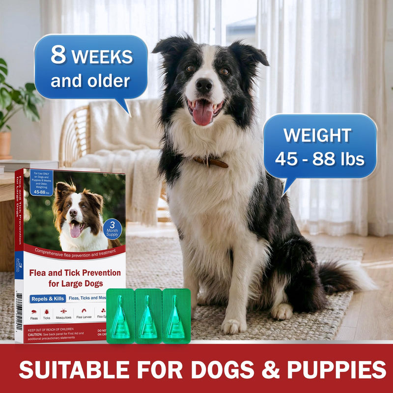 Flea and Tick Prevention for Large Dogs, Flea Drops for Dogs 45 to 88 lbs, 3 Month Support for Skin & Coat Health, Fast Acting, Dog Flea and Tick Treatment, Supplement