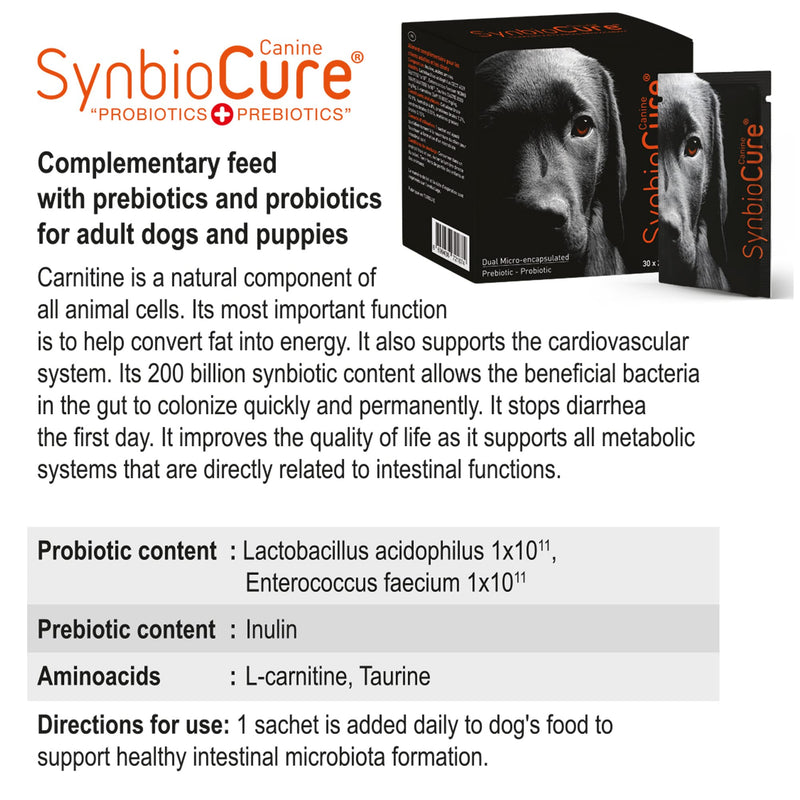 I Probiotics & Prebiotics for Dogs I Powder Dog Supplement I Digestive Health Support I 200 Billion Bacteria Per Sachet I 30 Sachets*2 g