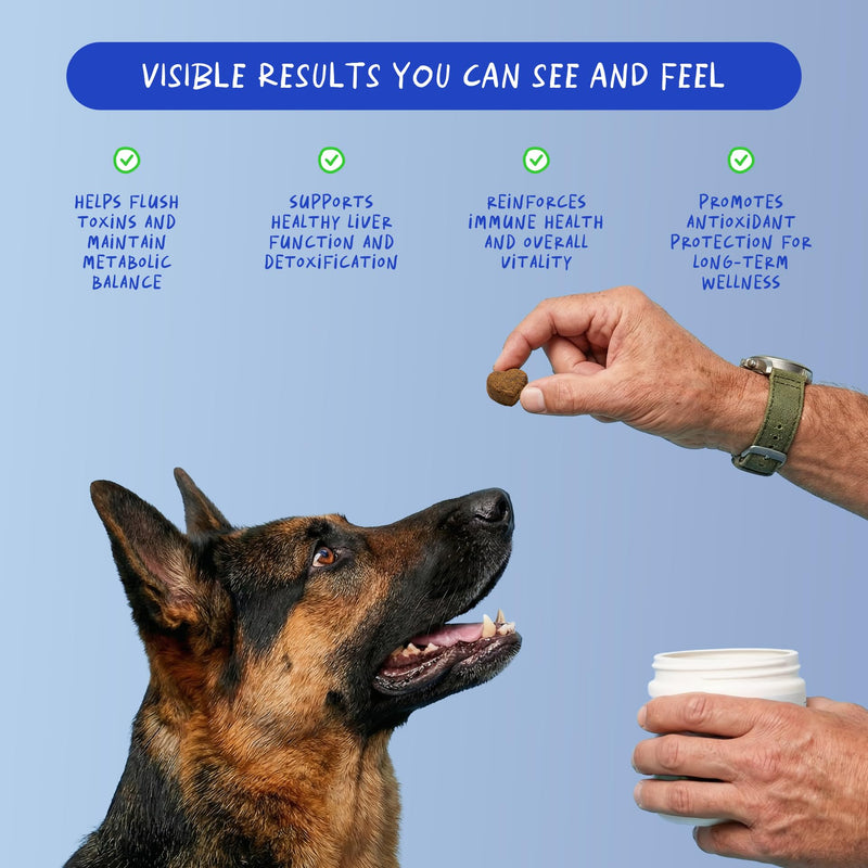 Liver and Kidney Soft Chews for Dogs & Liver and Kidney Support Powder for Cats