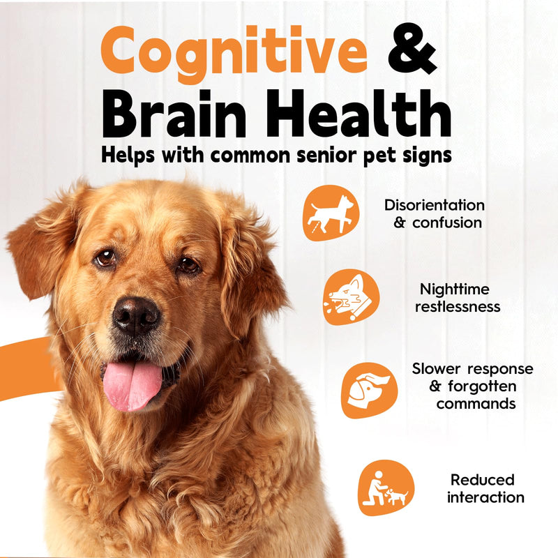 Ginkgo Brain & Heart Support Drops for Dogs, Senior Dogs & Cats Cognitive & Memory Support, Blood Pressure, Cholesterol, Fights Mental Fog, with Curcumin & Lecithin & Multivitamins ﻿