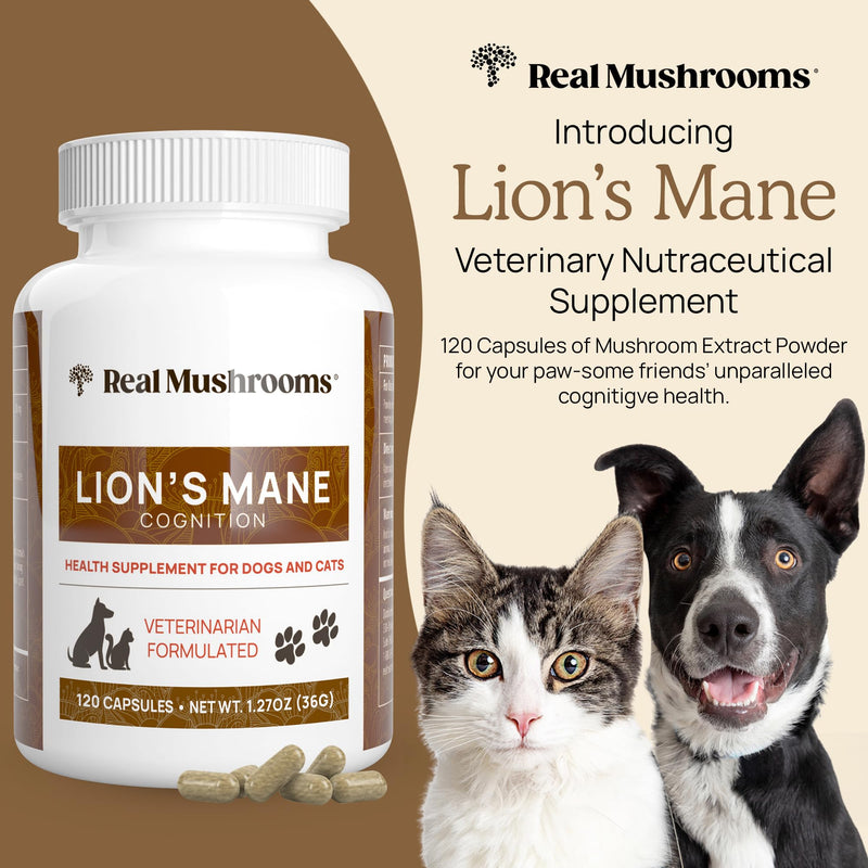 Real Mushrooms Lion’s Mane Pet Mushroom Supplement – Pet Wellbeing Capsules – for Cat & Dog Supplement & Vitamins – Support Mindful Routines – Organic, Vegan, Non-GMO, 120 Count Capsule