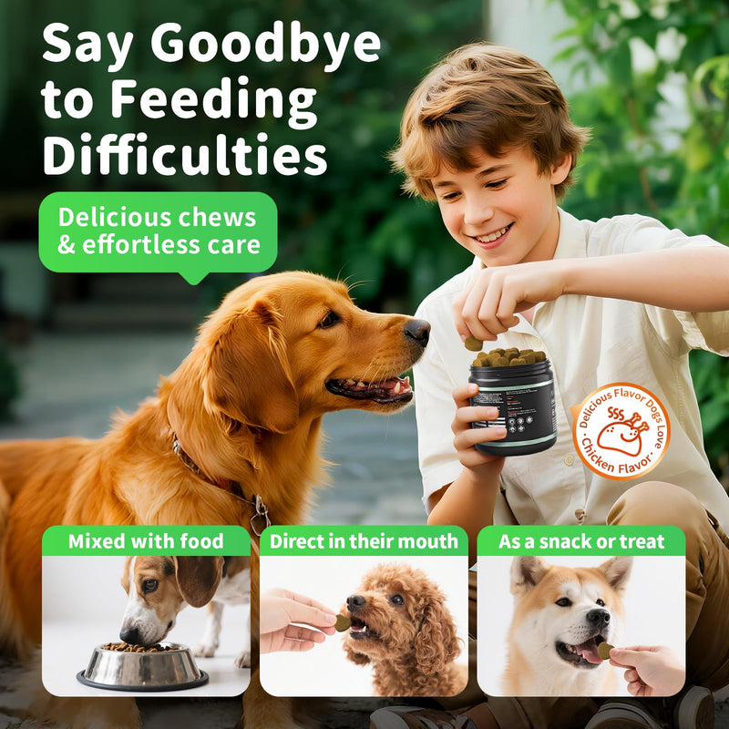 Dog Probiotics & Digestive Enzymes – Pumpkin Fiber Chews for Gut Health, Constipation& Upset Stomach Relief, Gas & Stool Support, Chicken Flavor Soft Chews – 90 Count 90 Count (Pack of 1)