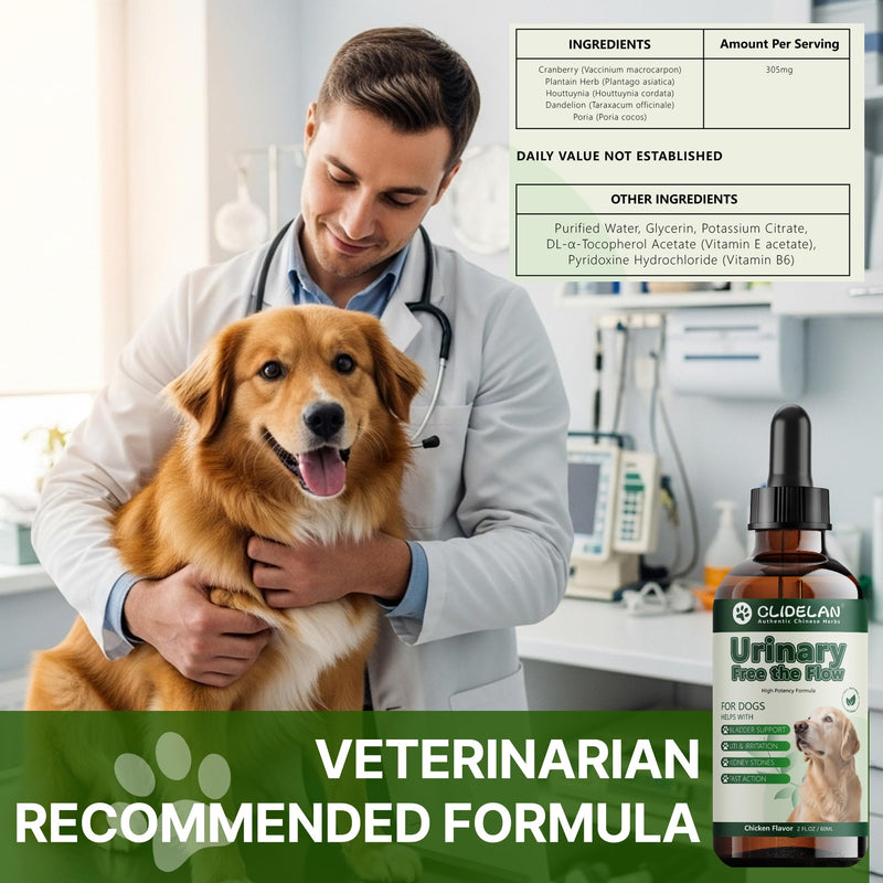 Bladder & Kidney Stones Dissolver for Dogs – Helps with Stone and Crystals Fragment Flush & Prevention – Natural Dog UTI Treatment, Herbal Vet-Formulated, Dog Urinary Tract Infection Treatment