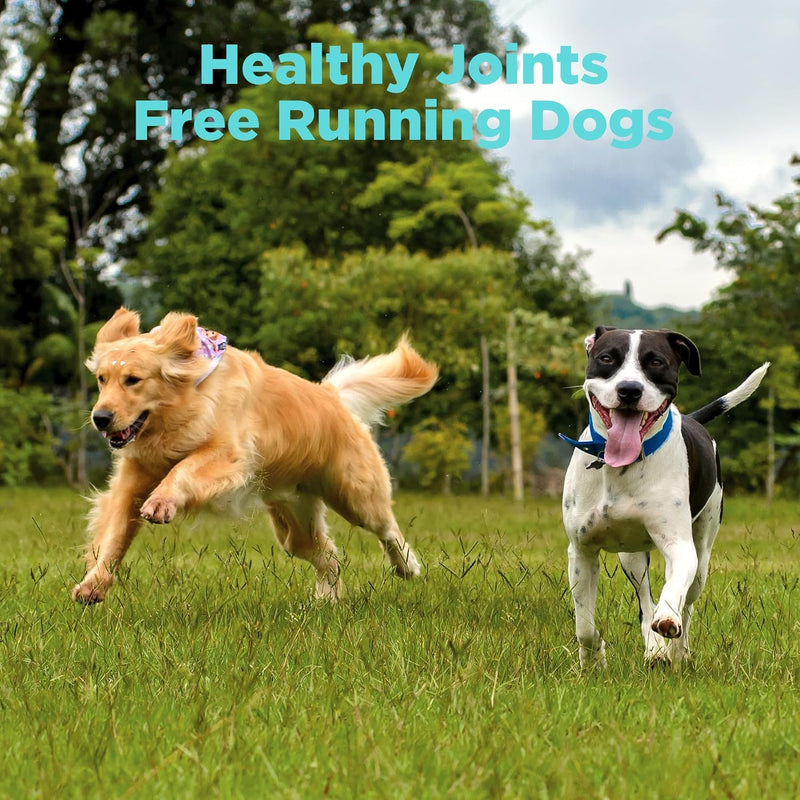 Joint Supplement for Dogs with Chondroitin and Glucosamine for Dogs Joint Health, MSM, Green Lipped Mussel, Turmeric, Omega 3 for Dog Joint Pain Relief, 60ct 60 Count