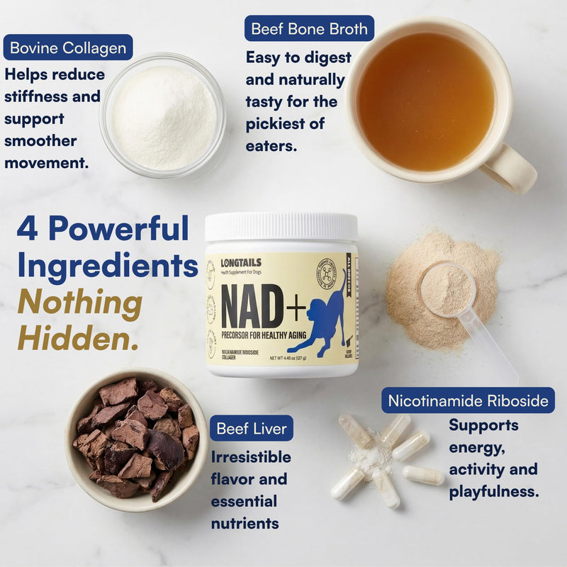 NAD+ Precursor Senior Dog Supplement - Cognitive & Longevity - NMN Alternative Powder with 200mg Nicotinamide Riboside (NR) and 1,500mg Hydrolyzed Collagen - Made in USA, 30 Scoops, Up to 60 Days