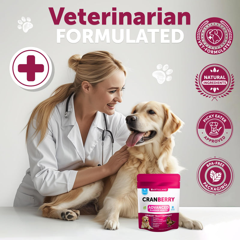 Dog UT Treats - Cranberry Chews for Dogs - Urinary Tract & Bladder Support Supplement with Natural Cranberry Extract - Tasty 70 Soft Bites for Daily Wellness with Fish Oil, Pumpkin, D-Mannose Cranberry Chews - 70 Count