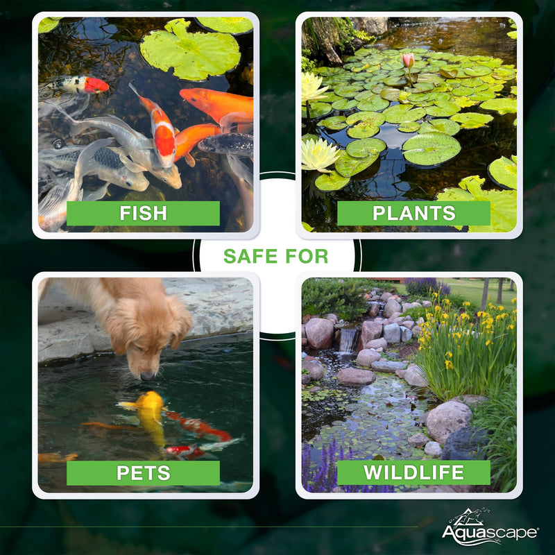 Aquascape Dry Beneficial Bacteria for Pond and Water Features, 4.4-Ounce | 98925,White 0.28 lb