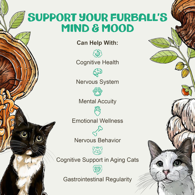 MycoCat Clarity - Cat Calming & Cognitive Support Supplement - Brain Health, & Senior Feline Wellness - Memory & Focus with Functional Mushrooms & Adaptogens