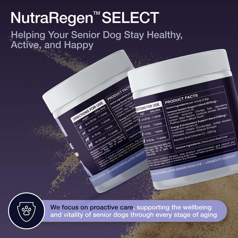NutraRegen Dog Immune Support Supplement Powder 30 Scoops | Beef Flavored Powder with Turkey Tail Mushroom for Dogs| 30 Scoops Beef Flavor | 1.9 Oz