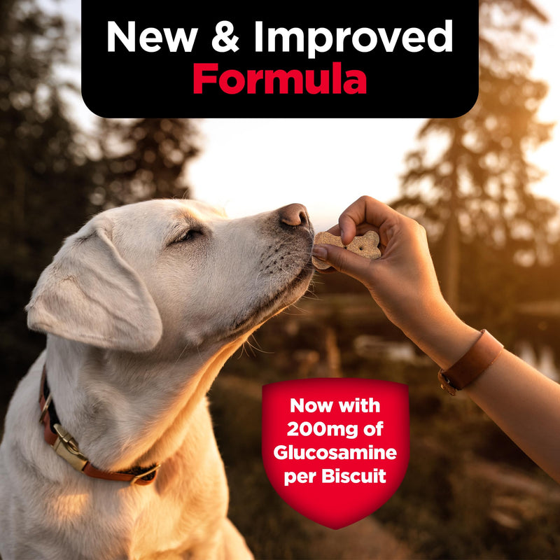 Nutri-Vet Hip & Joint Biscuits for Dogs, Tasty Glucosamine Treat, Puppy Supplements, Dog Joint Supplement, Small Sized Biscuit with 200mg Glucosamine, Puppy Essentials, Peanut Butter Flavor, 16 oz 16 Ounce (Pack of 1)