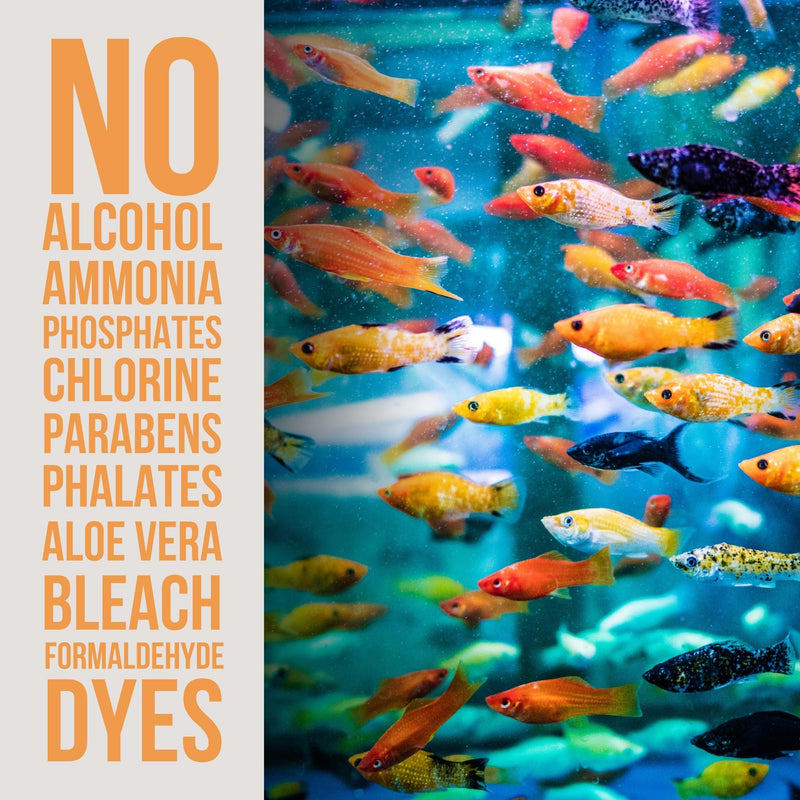 Aquarium Water Conditioner - Naturally Detoxifies and Removes Ammonia, Nitrite, Chlorine, and Chloramine from Saltwater and Freshwater (16 fl oz.) 16 oz