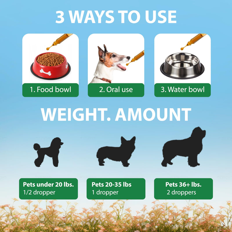 Kennel Cough Drops for Dogs & Cats Cough Relief Dry and Wet Pet Cough Allergy Relief - for Dogs of All Breeds & Sizes - PawsPlanet Australia