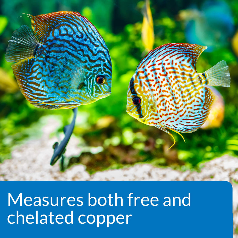 API COPPER TEST KIT 90-Test Aquarium Water Test Kit 90 test