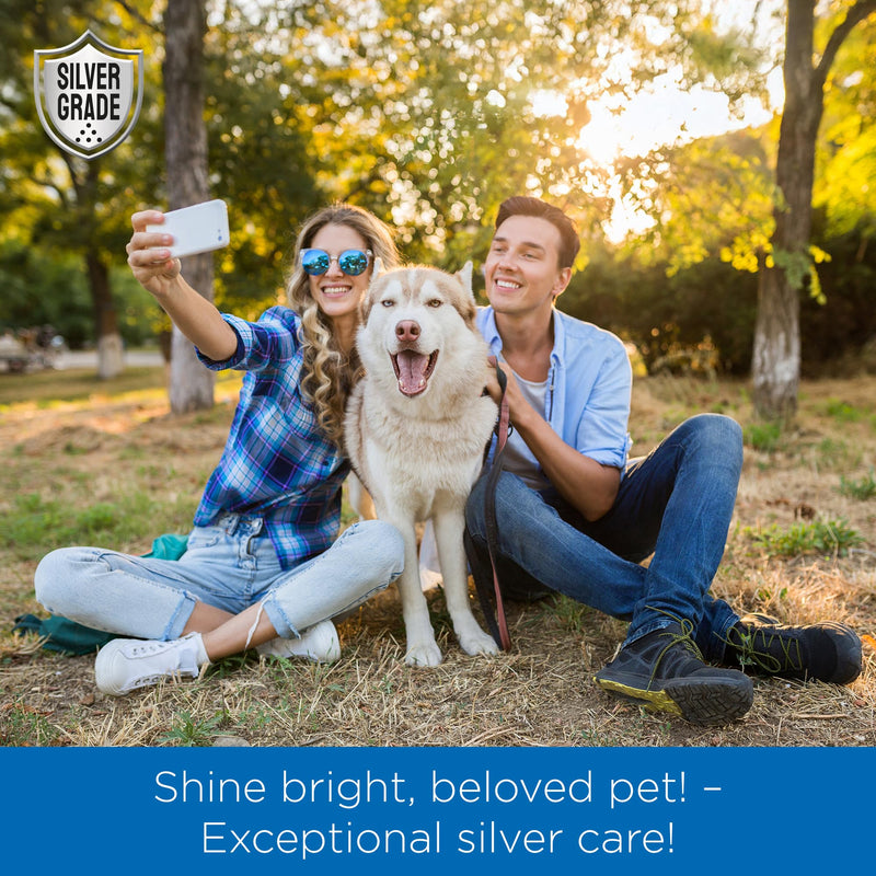SILVER GRADE Wound Spray Hot Spot Treatment for Dogs, Cats, Pets – Better Use with a Dog Cone – Help with Itching, Irritation, Scratches, Rashes, Bites – Safe Composition – 3 Oz White with blue elements