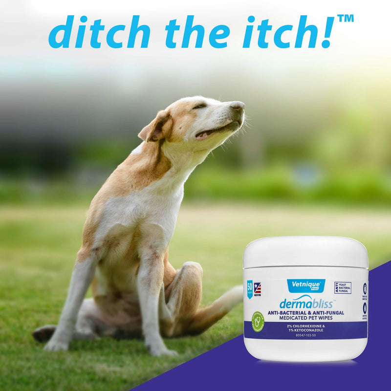 VETNIQUE LABS Dermabliss Anti-Itch and Medicated Dog Shampoo, Wipes and Spray Help Relieve Irritated Itchy Skin - Ditch The Itch 50ct Wipes - PawsPlanet Australia