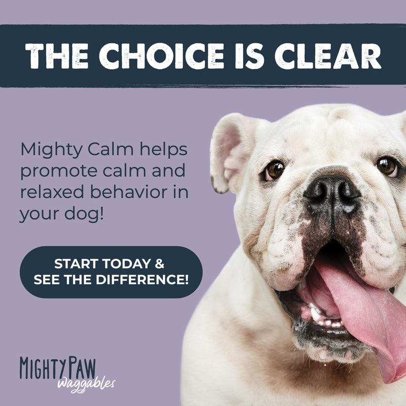 Mighty Paw Calming Chews for Dogs with Melatonin - Vet Formulated Dog Sleep Aid - Puppy & Large Pet Treats - Waggables Calm -Composure Calming Chews for Stress & Relaxation, 120 Count (Made in USA) 1 Pack - 120 Chew Count