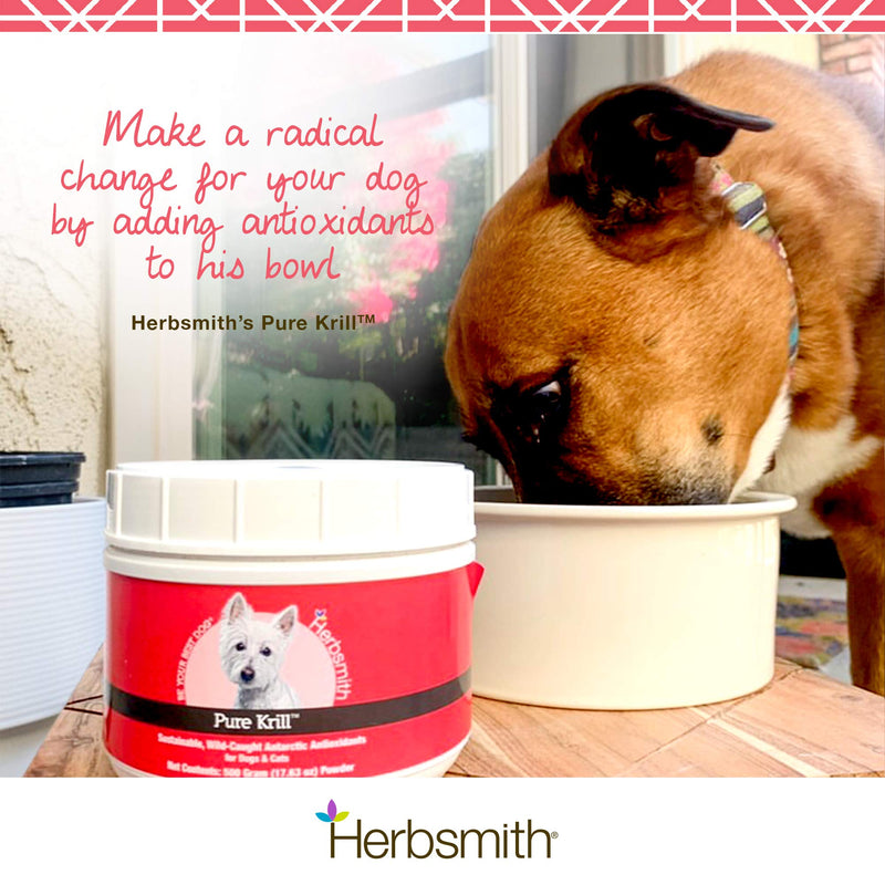 Herbsmith Pure Krill - Wild-Caught Antarctic Krill - Just 1 Ingredient - Astaxanthin for Dogs - Ready-to-Use Omega 3s – Alternative to Krill Oil for Dogs - 75g - PawsPlanet Australia