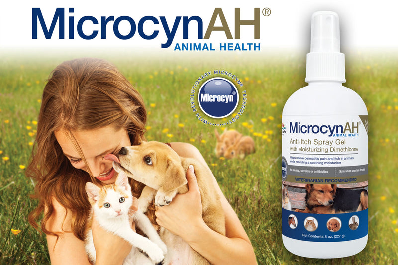 MicrocynAH Anti-Itch Spray Gel with Moisturizing Dimethicone for Dogs| Non-Toxic Spray Formulated to Sooth | Veterinarian Recommeneded Non-Toxic Formula | 8oz - PawsPlanet Australia