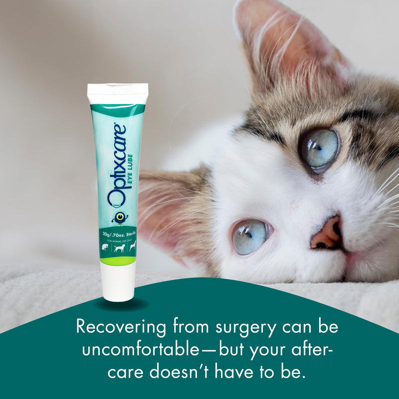 Optixcare Eye Lube 20g Lubricating Gel for Dry, Itchy & Irritated Eyes – Long‑Lasting Moisture Support After Eye Procedures