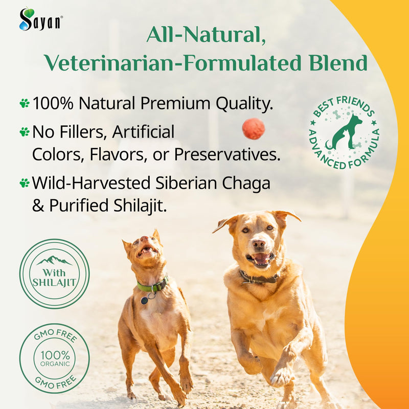 Sayan Chaga + Shilajit Pet Supplement (30 Sachets) – All-Natural Adaptogen Blend for Dogs & Cats – Immune, Joint, Energy & Digestive Support – Herbal Blend – 100% GMO-Free, Vet-Formulated