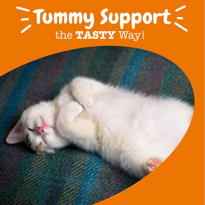 Zesty Paws Probiotic Bites for Cats - Gut Flora & Immune System Support - Cat Supplement with DE111 Bacillus subtilis - Pet Soft Chews with Probiotics & Prebiotics for Digestive Health - 60 Count Cat - Chicken