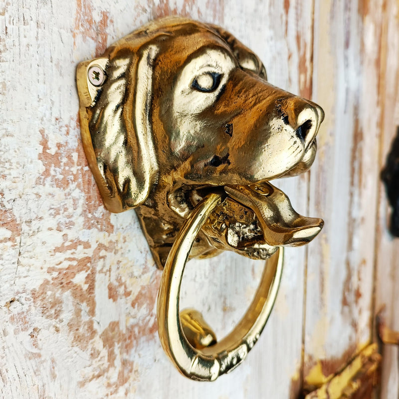 Dog Door Knocker, Solid Brass, 6.7 inches, Labrador Retriever Head, Front Door Ornament, Unlacquered Finish (Antique Brass) Antique Brass