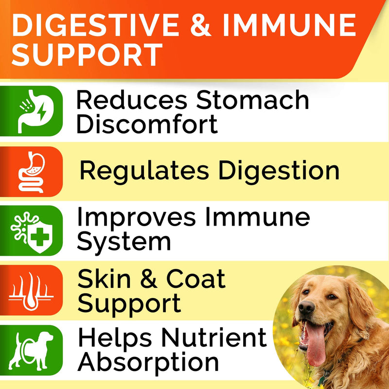 STRELLALAB Dog Probiotics Chews + Enzymes Gut Health Support - Anti Gas, Diarrhea and Upset Stomach Immune Supplement - Digestion Treats with Fiber (180Ct, Chicken) 180Ct (Chicken)