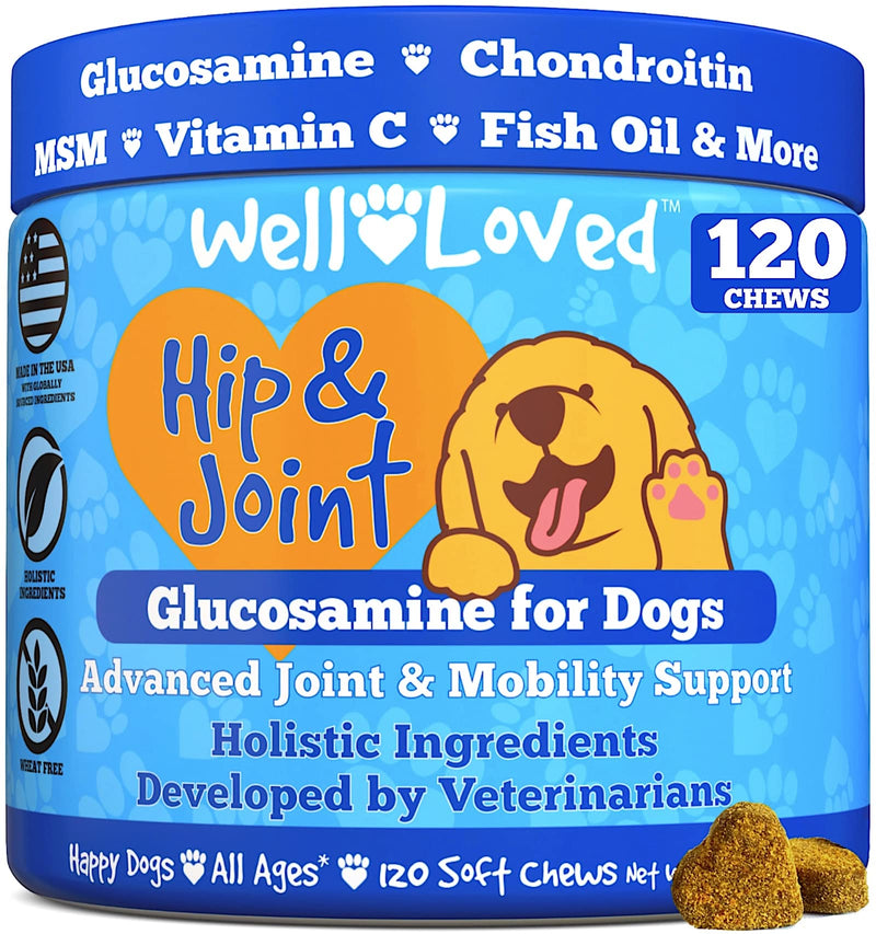 Probiotics for Dogs and Joint Supplement for Dogs, Well Loved Dog Chews, Made in USA, Vet Developed, Dog Probiotic Chews, Glucosamine for Dogs - PawsPlanet Australia