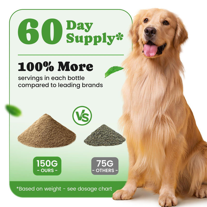 Digestive & Skin Support Chews + Dental Care Powder - Probiotics with Enzymes for Gut Comfort & Itch Ease, Tartar Control & Fresh Breath for Dogs & Cats - 180 Chews + 150g Powder