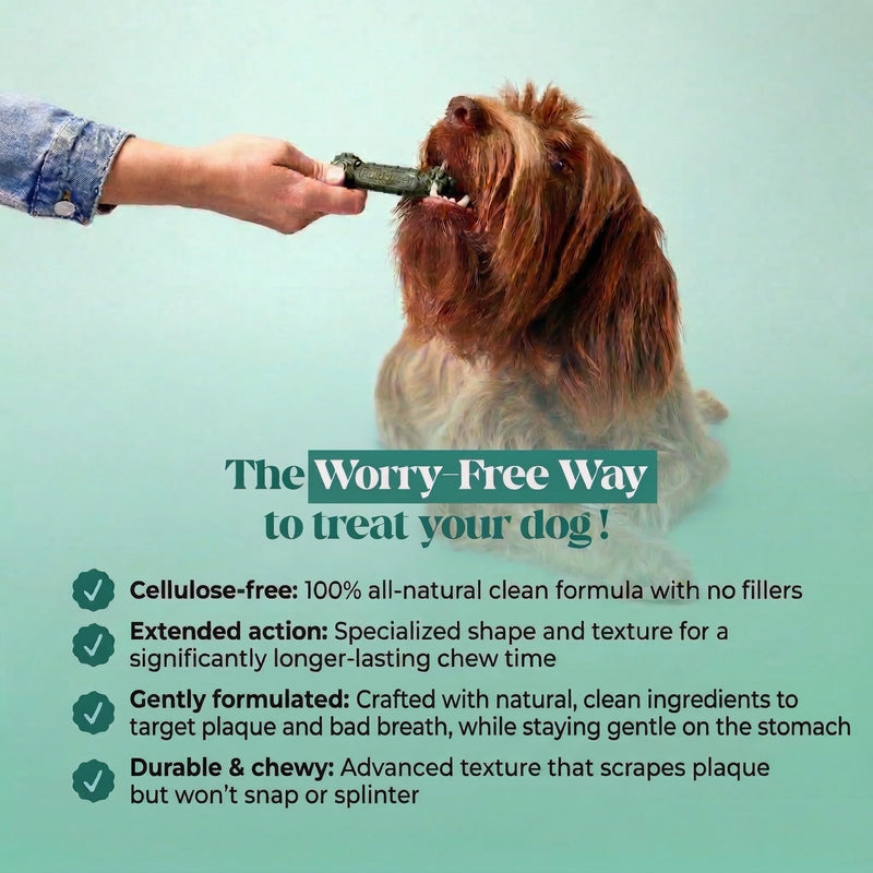 Pet Honesty Brush Buddies All Natural Dog Dental Treats for Dogs – Long Lasting Dental Sticks for Dogs, Teeth Cleaner, Breath Freshener, Plaque & Tartar Remover – Medium Sized Dogs (15 Count) Medium Dog - 15 Count