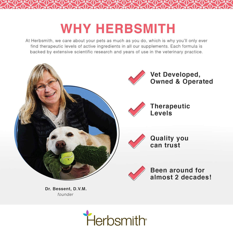 Herbsmith Senior Dog Wisdom – Dog Dementia Supplement – DHA for Senior Dog Brain Health - Senior Supplement for Dogs- 60ct Small Chews 60ct Small Chews (For Dogs Under 30lbs) - PawsPlanet Australia