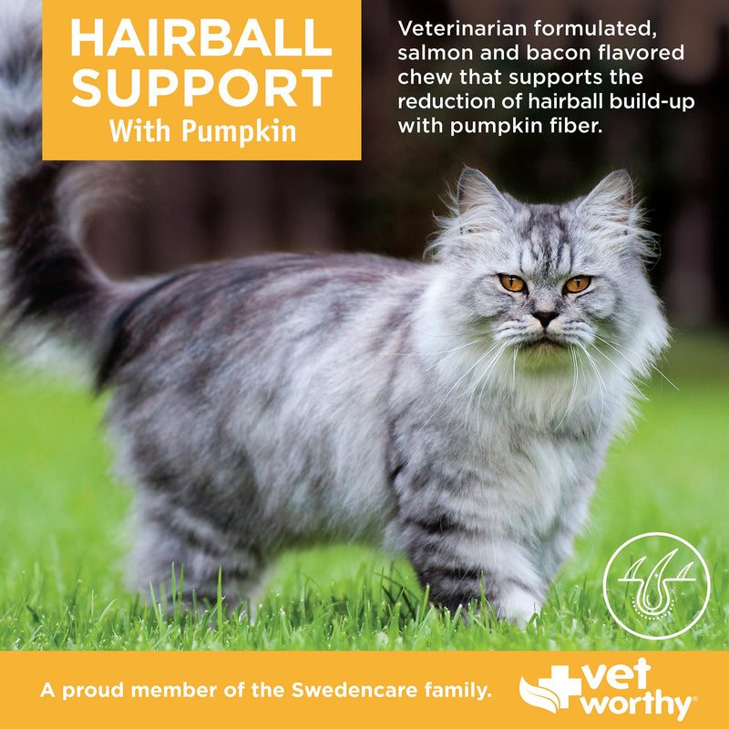 Vet Worthy Cat Hairball Remedy - Preventative Hairball Support for Cats with Pumpkin and Psyllium Husk for Added Fiber - Aids in Daily Cat Digestive Support & Furball Control - 60ct