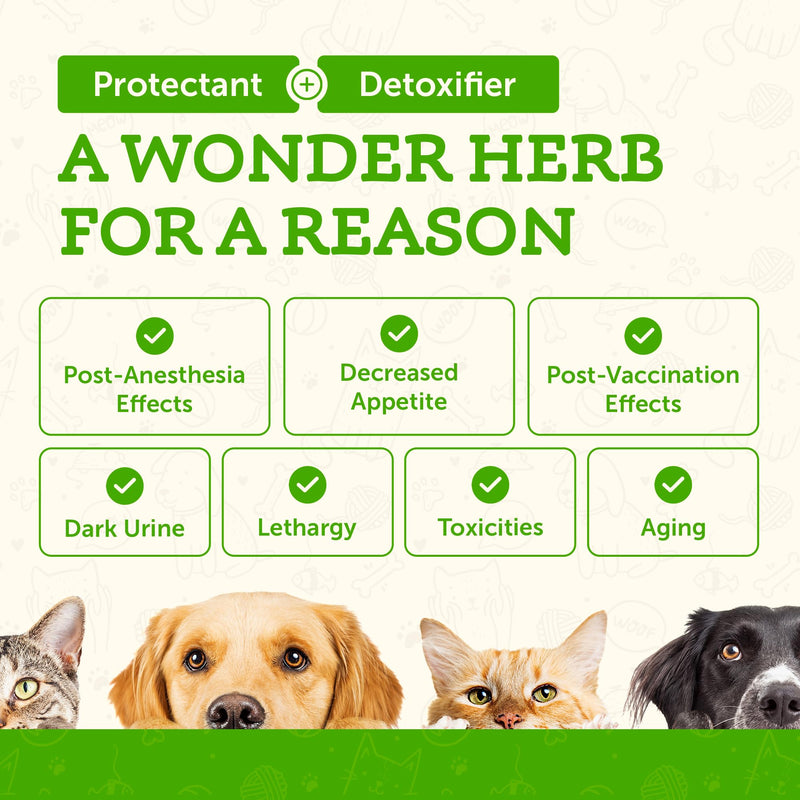 Animal Essentials Milk Thistle for Dogs & Cats - Liver Health Support, Herbal Extract, Liver Care Supplement, Organic Liquid Drops - 1 FL Oz 1 fl oz (30ml) - PawsPlanet Australia