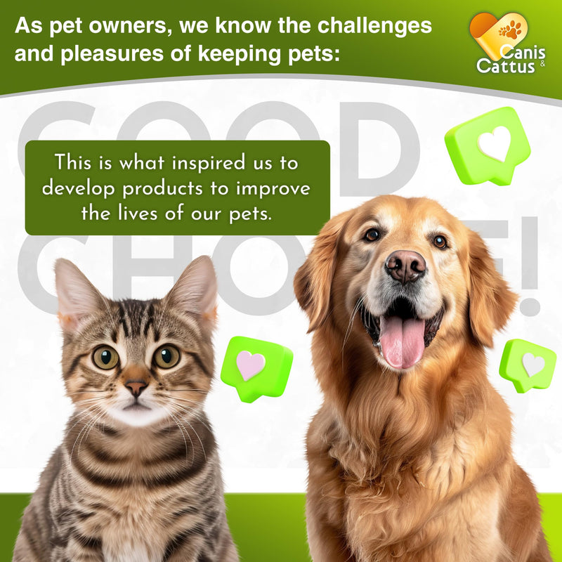 Antibiotics for Dogs | Cat Antibiotic | Pet Antibiotic | Natural Antibiotics for Cats | Dog Antibiotic | Natural Antibiotic for Dogs | Antibiotic for Cats | 2 Oz 1 Pack x 2 Oz