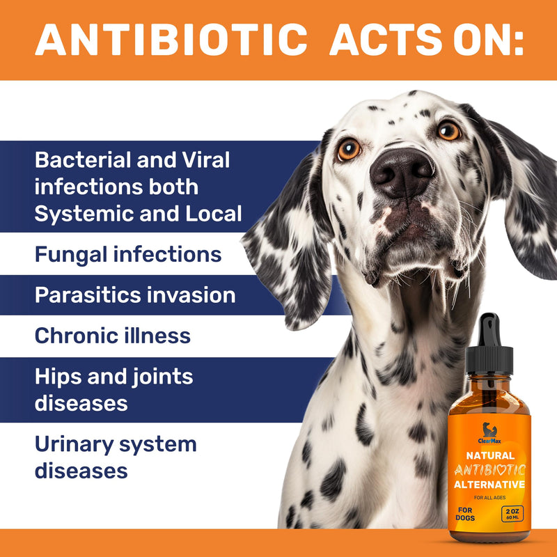 Natural Supplements for Dogs and Cats – Probiotics for Dogs – Probiotics for Cats – Bundle - PawsPlanet Australia