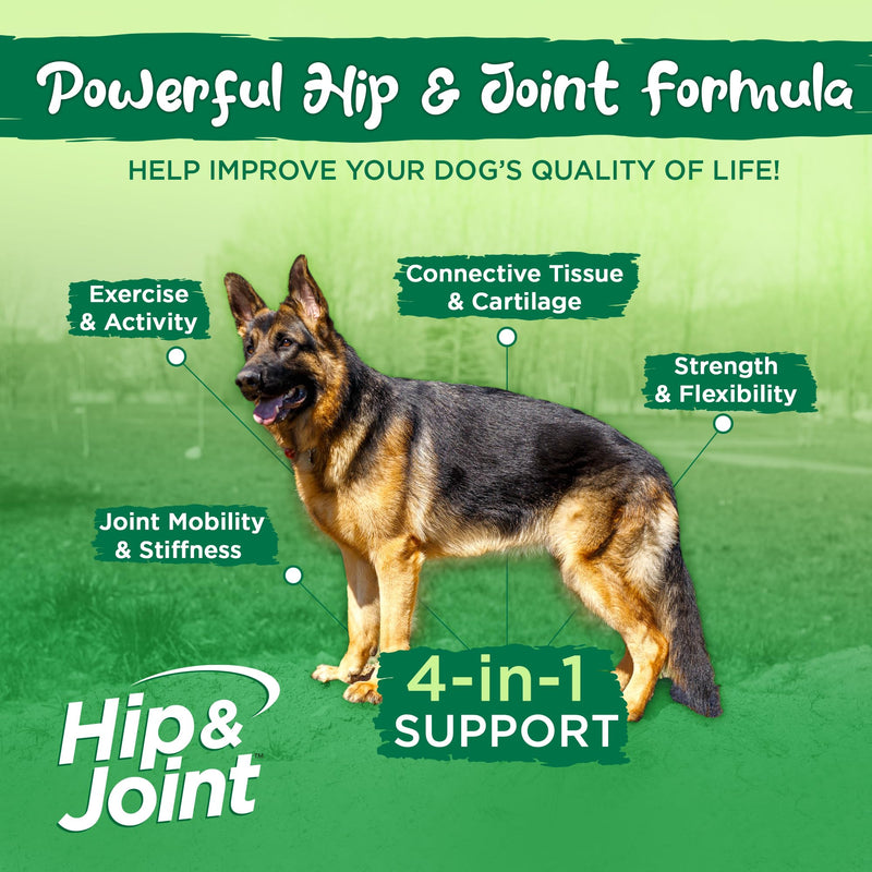 Vital Planet - Natural Hip and Joint Supplement for Dogs - Potent Herbal Blend with Green Lipped Mussel, MSM and Glucosamine (120 Chewable Tabs) - PawsPlanet Australia