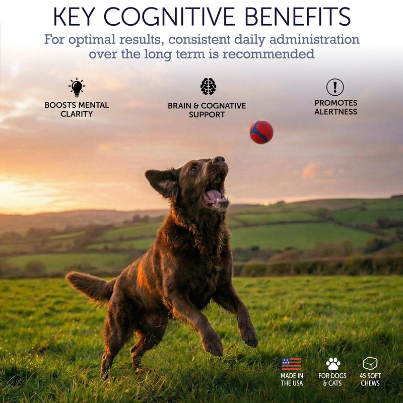 NuLife Dog Cognitive Supplement - Supports Senior Dog Memory, Alertness, and Behavior with DHA (Omega 3) and Ashwagandha - Helps Promote Brain Health and Focus in Aging Dogs - 45 Soft Chews